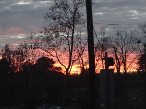 I really can't get enough of winter sunsets. I took a walk and peered through all the tree limbs.